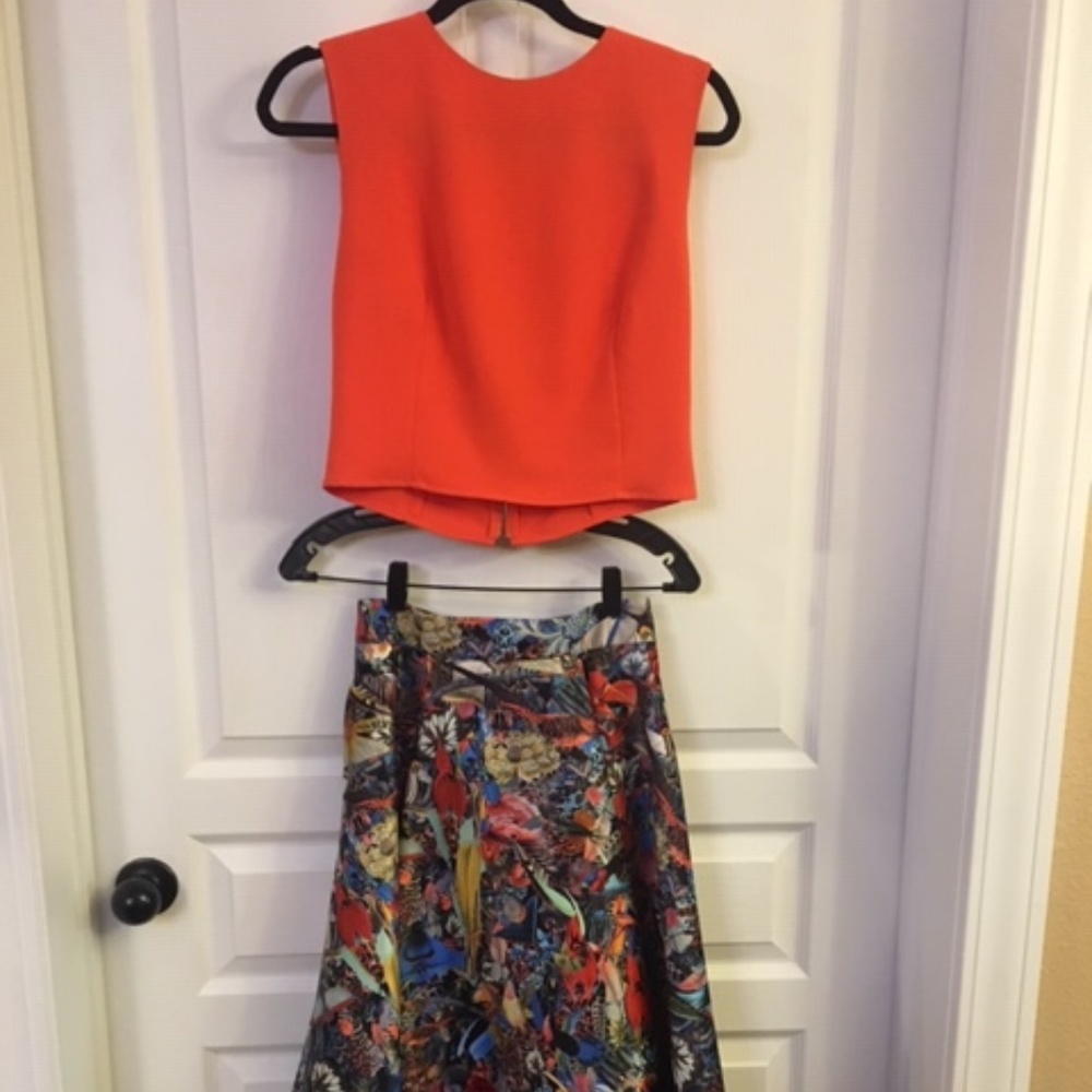 Alice and Olivia Crop Top and Ski